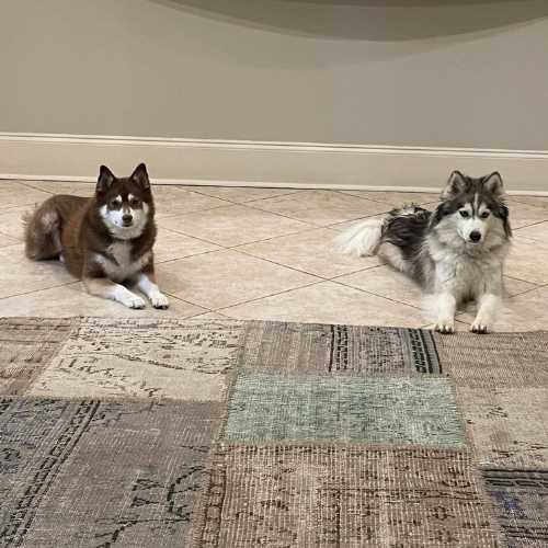 Luna & Rey