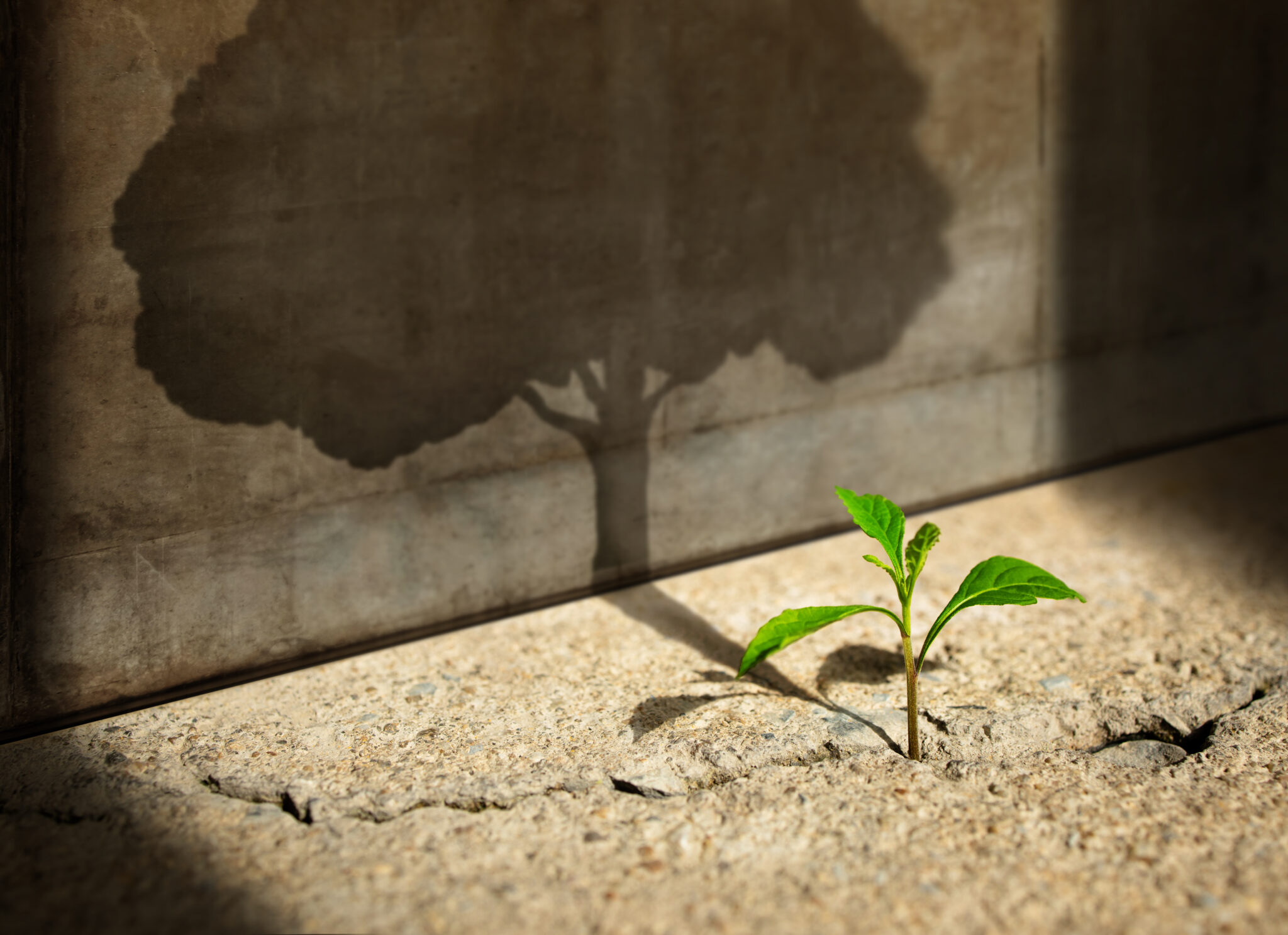 Growth Mindset